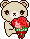 flower-carnation